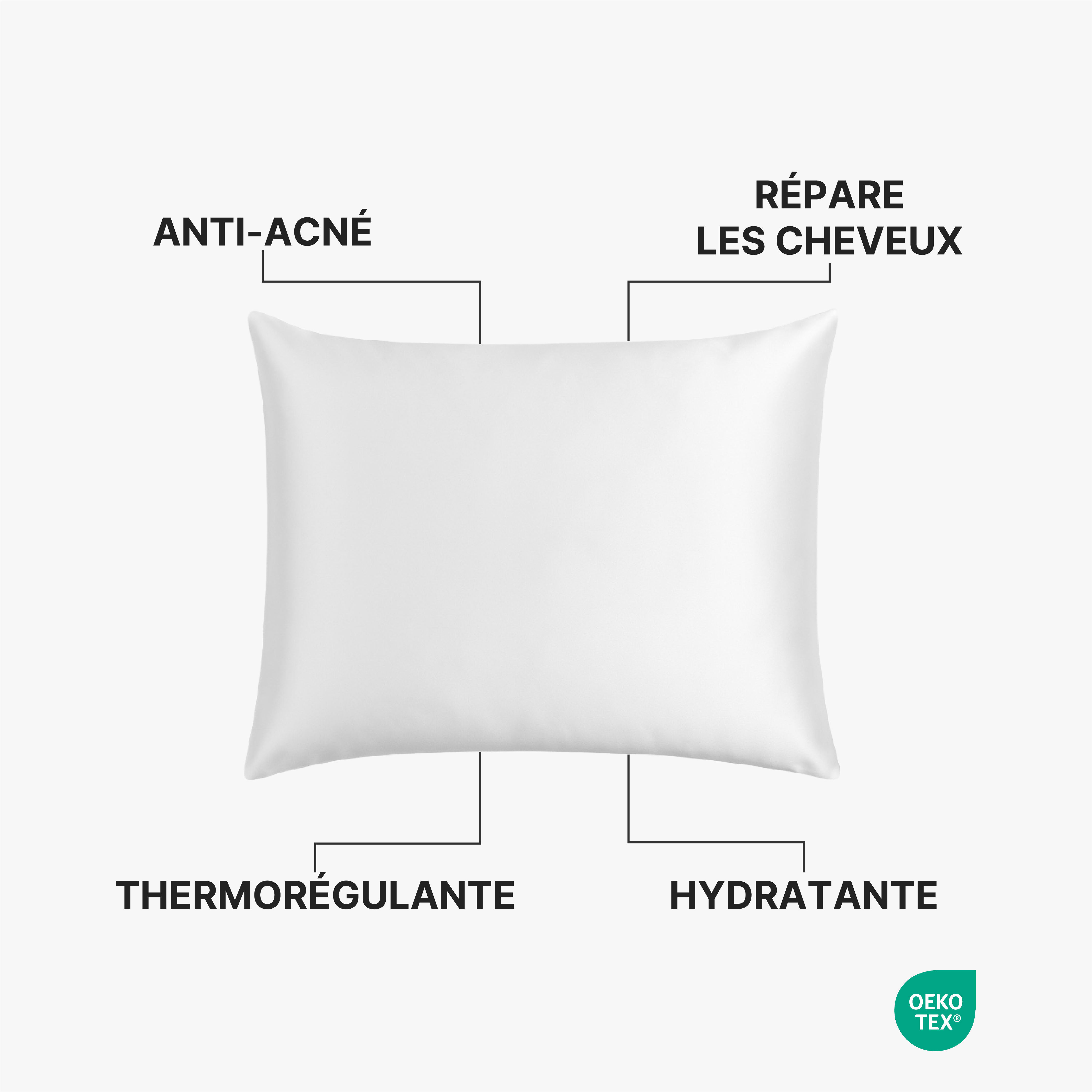 Taie d'oreiller 100% Pure Soie